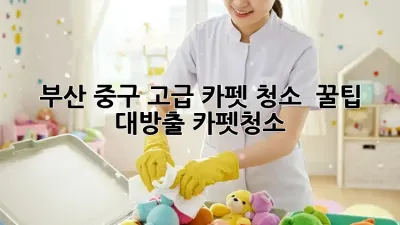 부산 중구 고급 카펫 청소 ✨ 꿀팁 대방출! #카펫청소